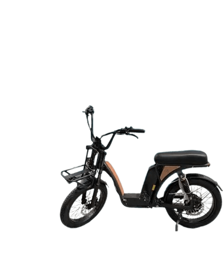 Bike Mangosteen FTO6