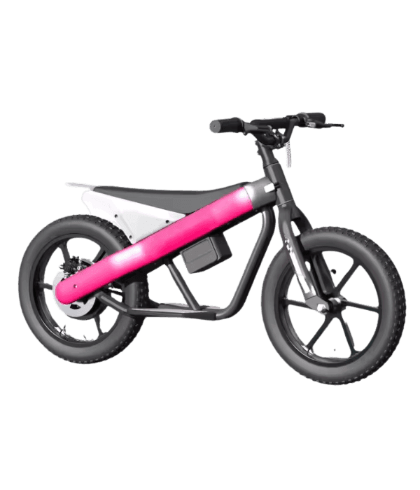 Kids Electric Bike
